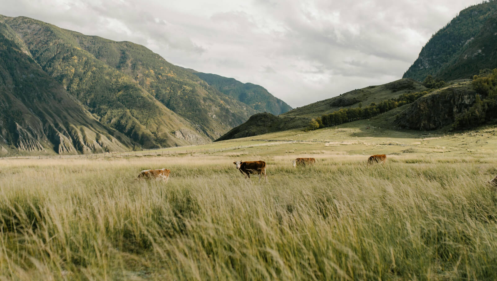 Ranch Photo